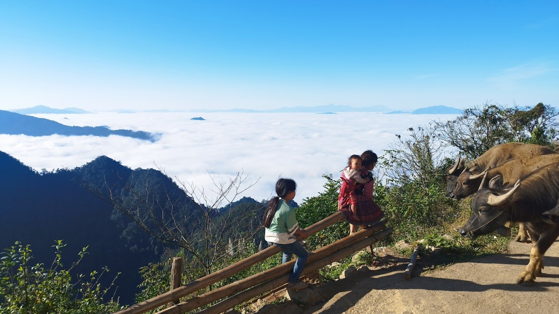 Thumbnail découvrir à Van Ho