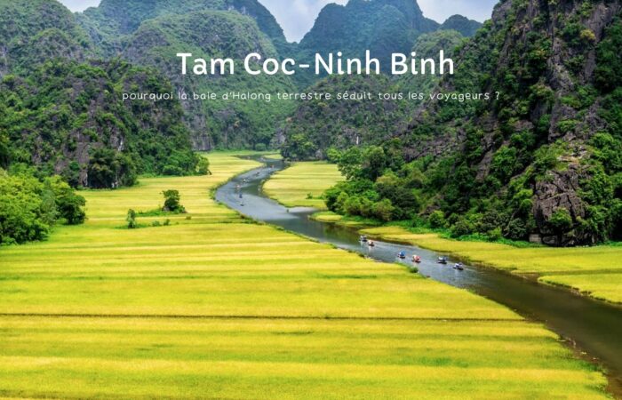 Tam Coc : pourquoi la baie d’Halong terrestre séduit tous les voyageurs ?