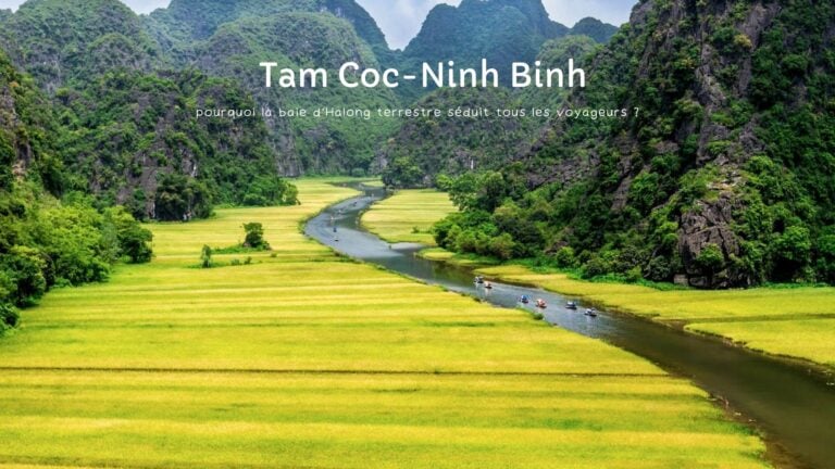 Tam Coc : pourquoi la baie d’Halong terrestre séduit tous les voyageurs ?
