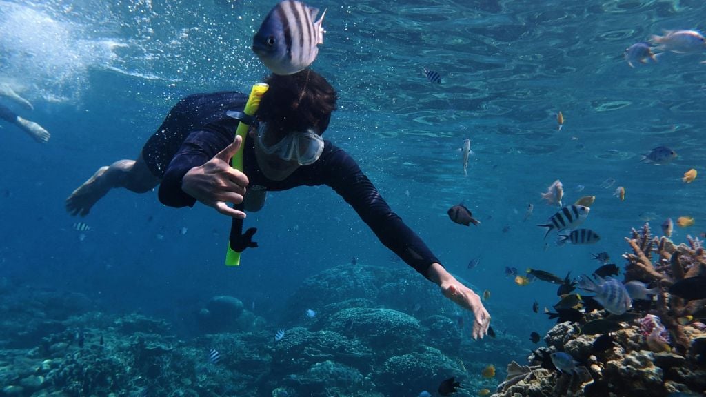 Exploration sous-marine à Koh Lipe en Thaïlande