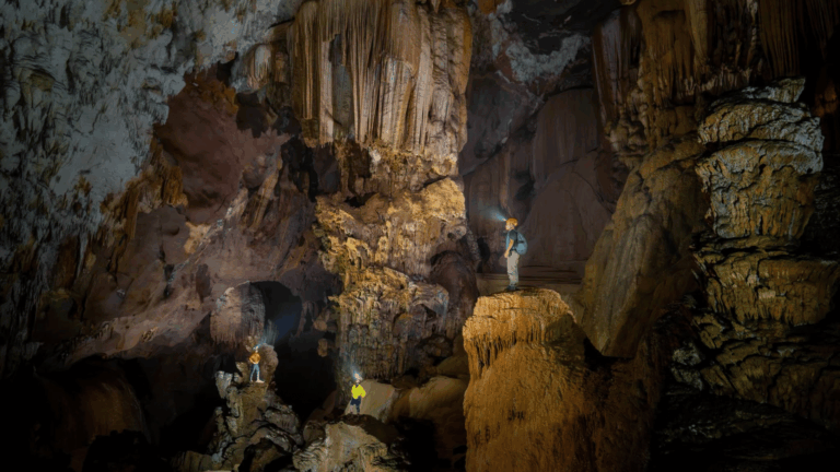 Nouvelle grotte et de son « palais de stalactites » à Phong Nha – Kẻ Bàng