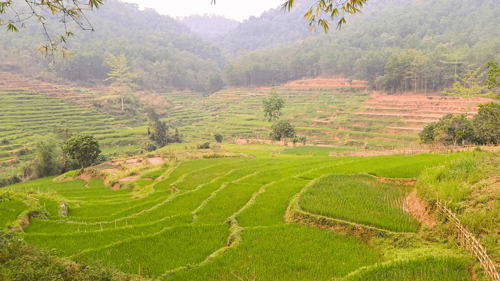 Villages de Mai Chau : à la découverte d’une vie locale authentique - vietnam mai chau village buoc 1024 Atmosphère authentique dans le village de Buoc chez les Muong