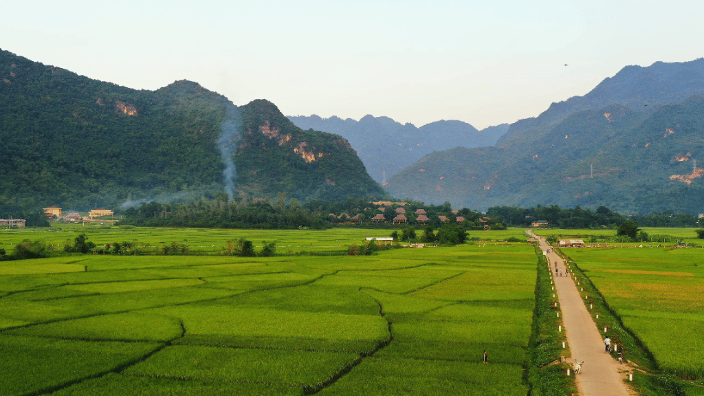 Villages de Mai Chau : à la découverte d’une vie locale authentique - vietnam mai chau village de nhot 1024 Saison des rizières vertes au village de Nhot Mai Chau