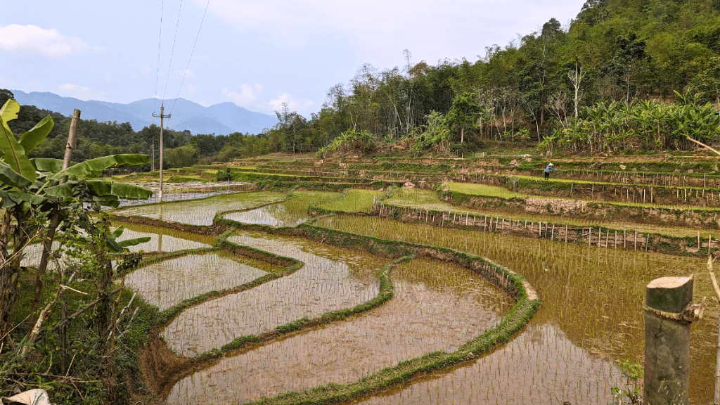 Villages de Mai Chau : à la découverte d’une vie locale authentique - vietnam mai chau village de pu 1024 Village de Pu paysages agricoles en saison des eaux