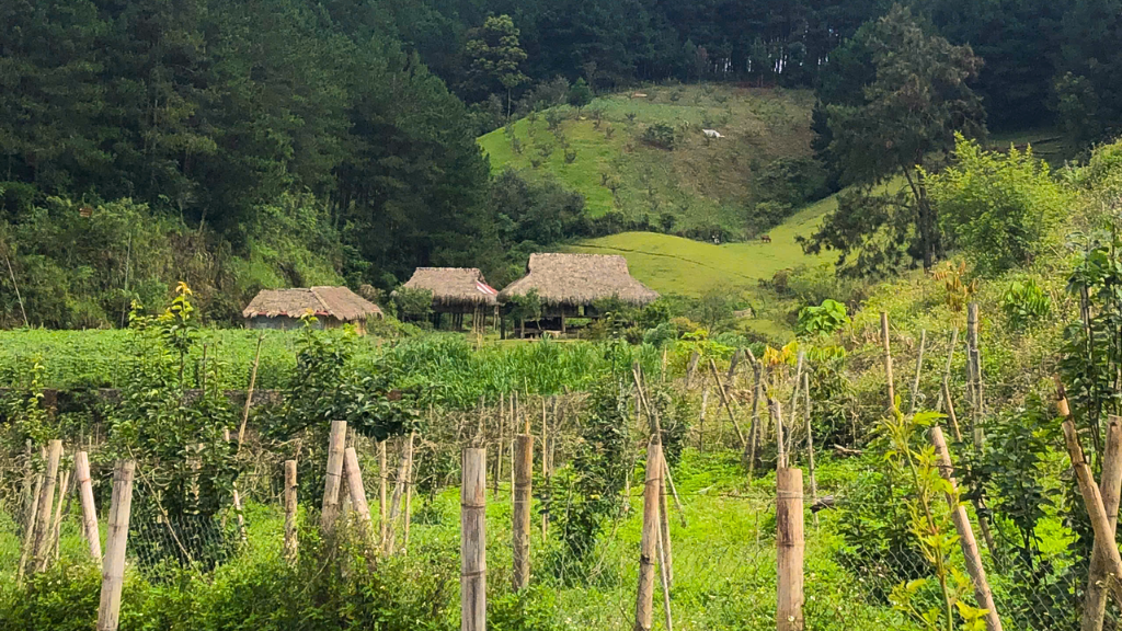 Mai Chau-Van Ho : les 3 jours qui ont marqué toute l’équipe Hanoi Voyages - vietnam van ho 3 jours equipe hanoi voyages 10 1024 Maison traditionnelle H’Mong au cœur d’un paysage naturel sauvage