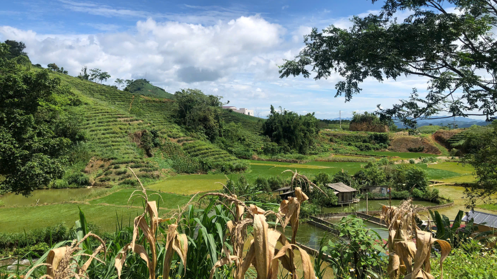 Mai Chau-Van Ho : les 3 jours qui ont marqué toute l’équipe Hanoi Voyages - vietnam van ho 3 jours equipe hanoi voyages 11 1024 L’équipe Hanoi Voyages découvre un paysage naturel paisible et plein de vie