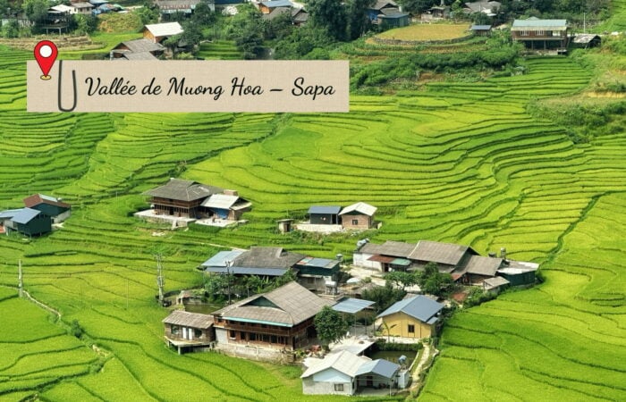 Randonnée à Muong Hoa : une vue plongeante sur la vallée et ses rizières en terrasses
