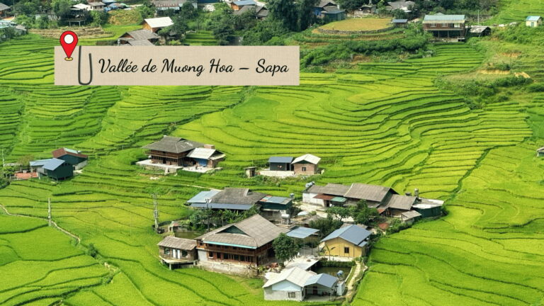 Randonnée à Muong Hoa : une vue plongeante sur la vallée et ses rizières en terrasses