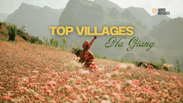 Explorer 7 villages à Ha Giang pour ressentir toute l’authenticité locale