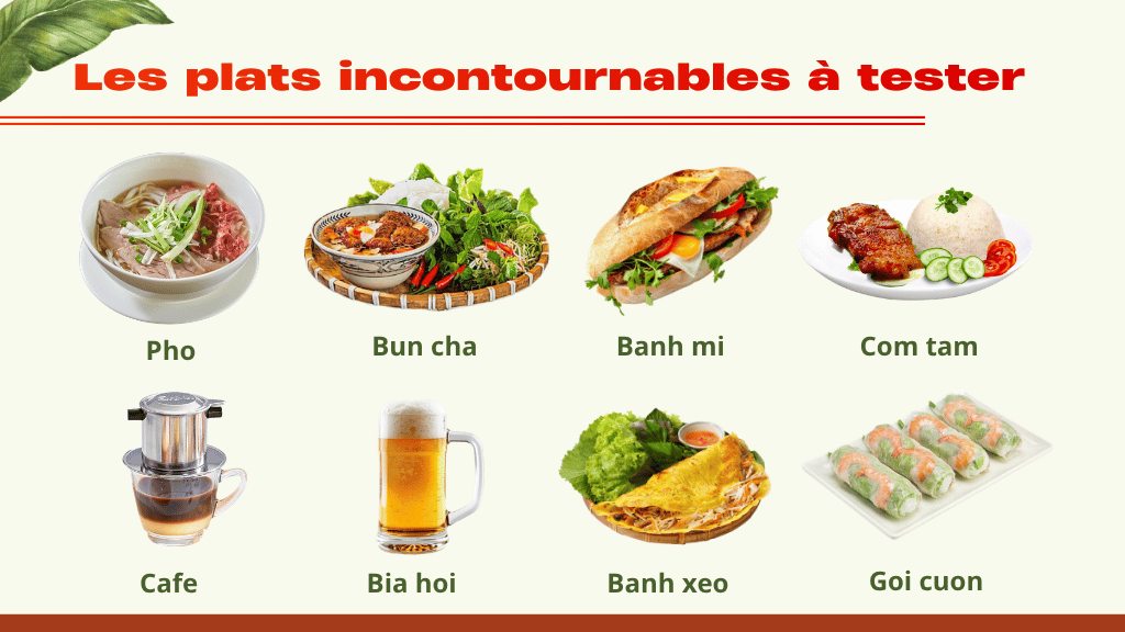 Organiser un voyage entre amis au Vietnam : 10 questions fréquentes - vietnam organiser un voyage entre amis au 1024 Top des plats incontournables à goûter lors d’un voyage au Vietnam