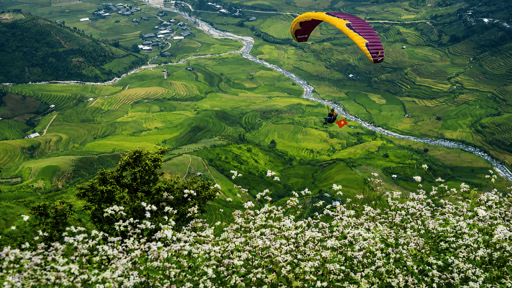 Un spectacle grandiose des rizières en terrasses vu en parapente