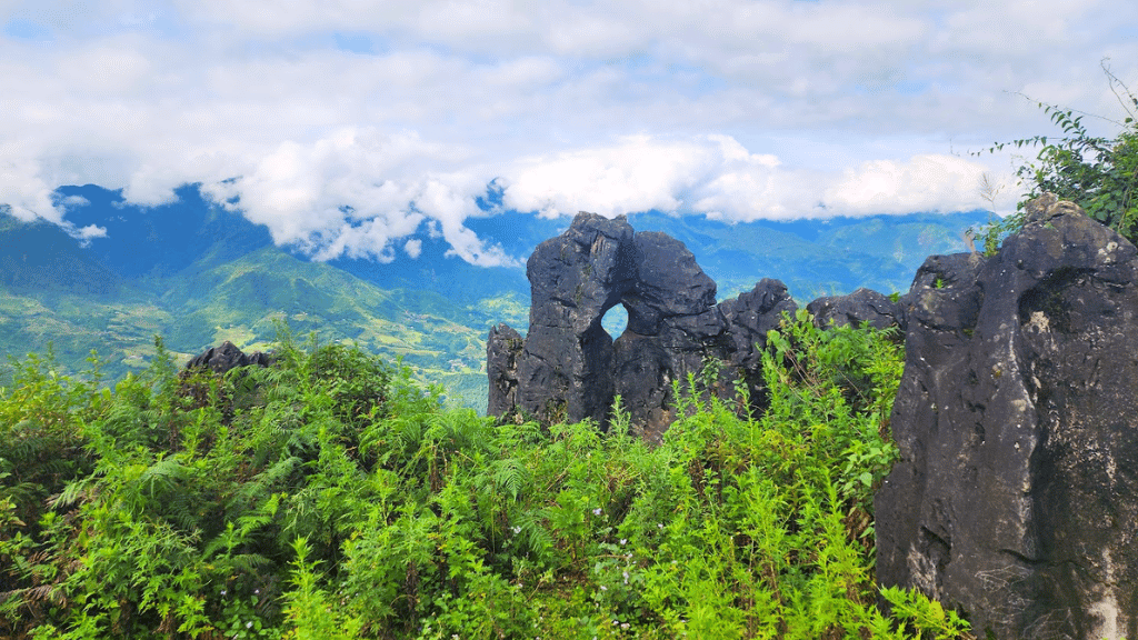Découvrir la nature de Sapa