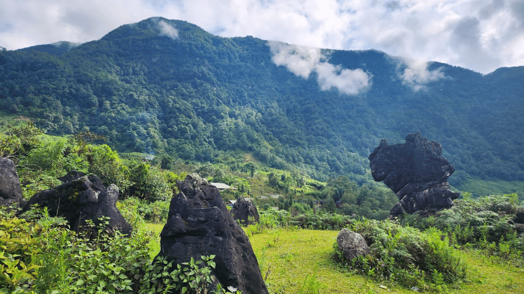 Découvrir la nature de Sapa