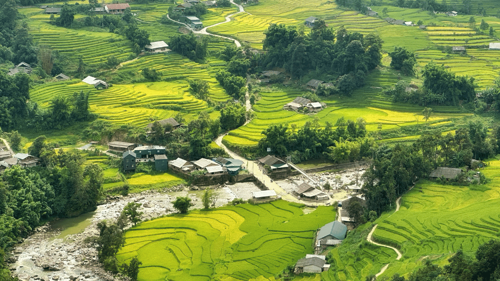 Découvrir la nature de Sapa