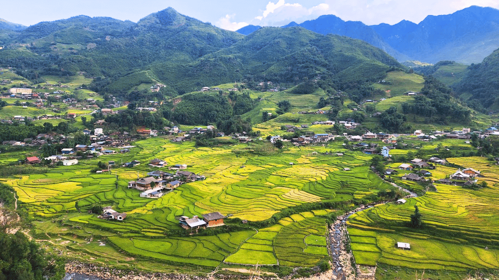 Vue panoramique sur la vallée de Mường Hoa et ses rizières en terrasses verdoyantes