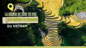 La saison de mise en eau des rizières en terrasses du Vietnam