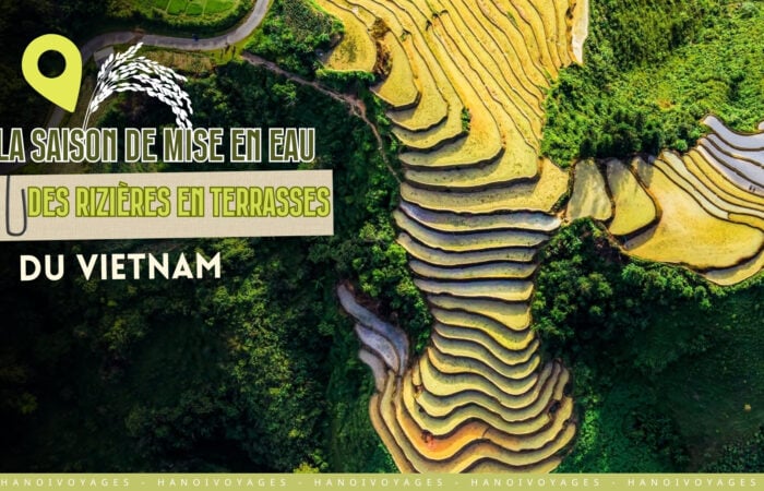 La saison de mise en eau des rizières en terrasses du Vietnam