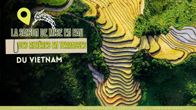 La saison de mise en eau des rizières en terrasses du Vietnam