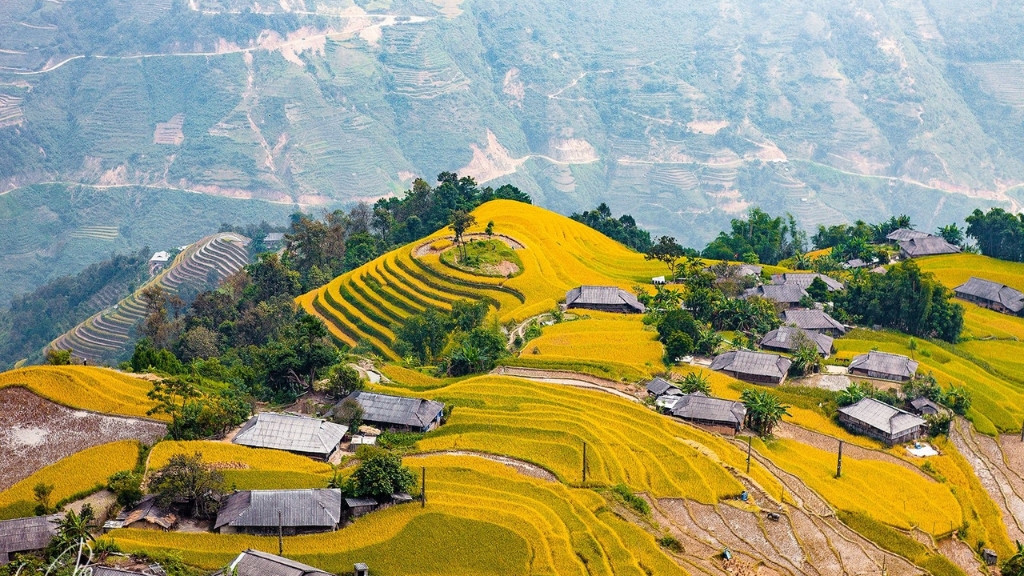 Les rizières en terrasses de Hoang Su Phi