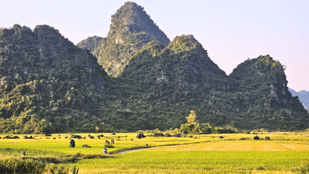 Paysage naturel de Ngoc Con aux couleurs changeantes au fil des saisons