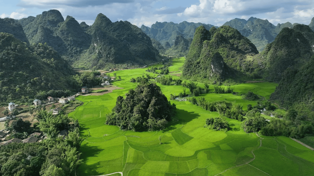 Vue panoramique de la vallée de Ngoc Con depuis les hauteurs