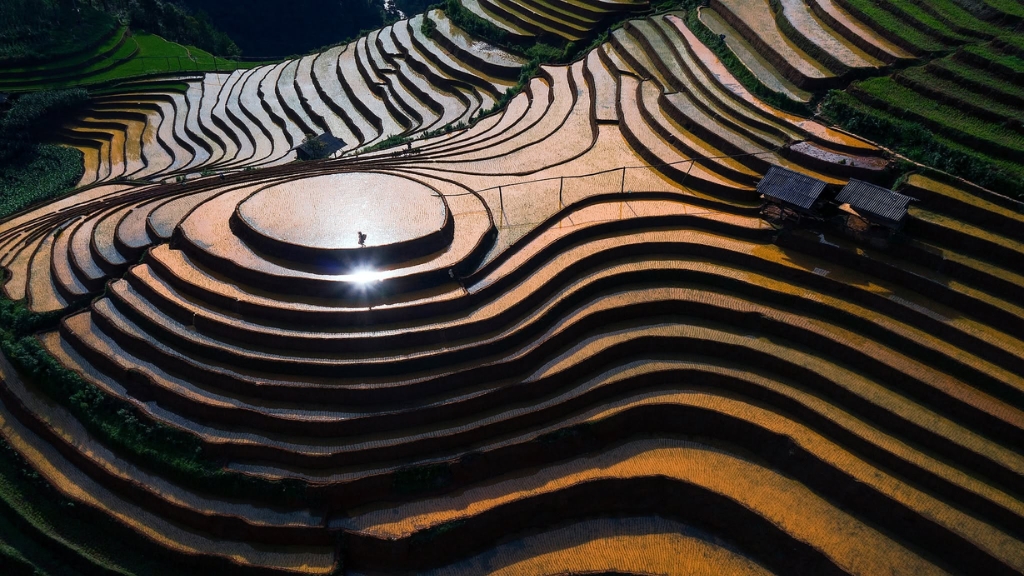 Vue sur la colline de Mam Xoi et ses rizières en terrasses à Mu Cang Chai