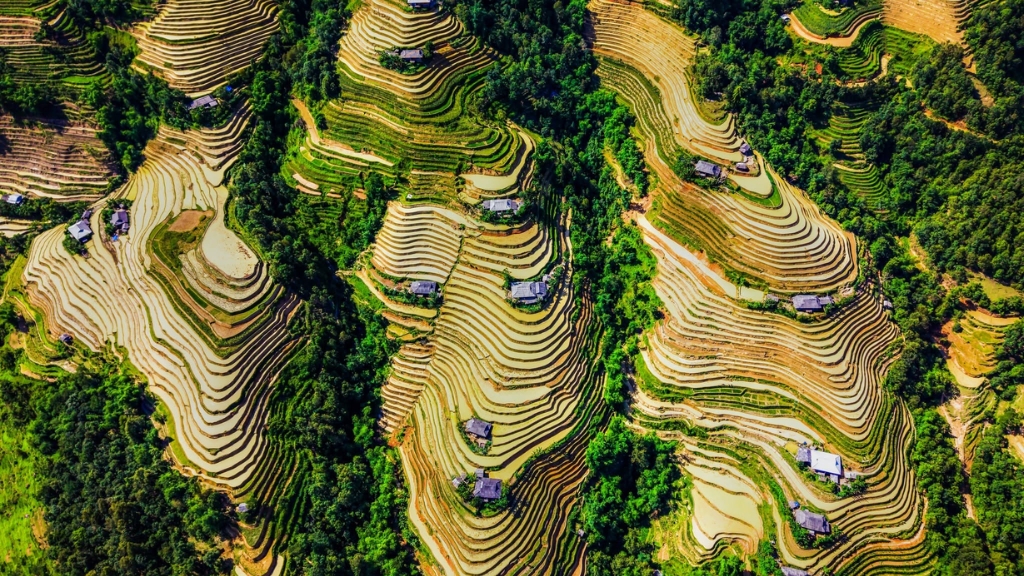 Saison de mise en eau des rizières en terrasses à Hoàng Su Phì, avec les champs inondés reflétant le ciel et les montagnes du nord du Vietnam.