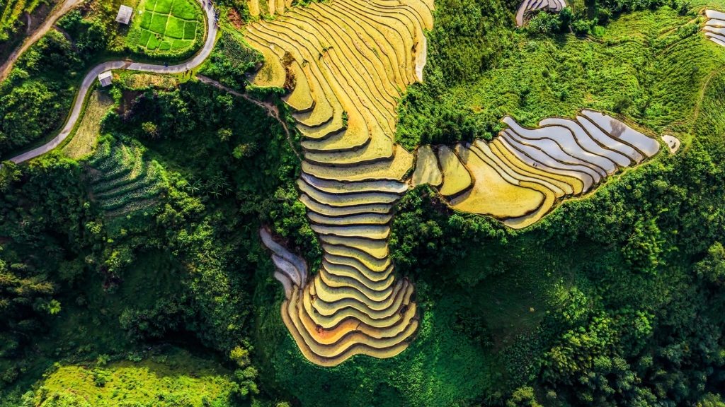 Vue aérienne des rizières en terrasses de Mù Cang Chải, entre parcelles verdoyantes et reflets de l’eau.