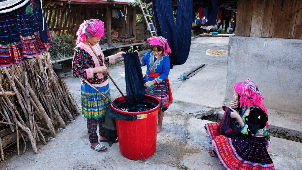 Les Hmong perpétuent la tradition de la teinture à l’indigo depuis plusieurs générations