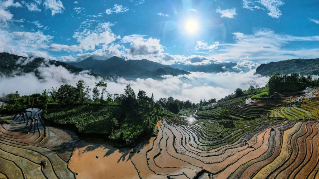 Les rizières de Y Ty se parent de reflets dorés sous le ciel des montagnes.